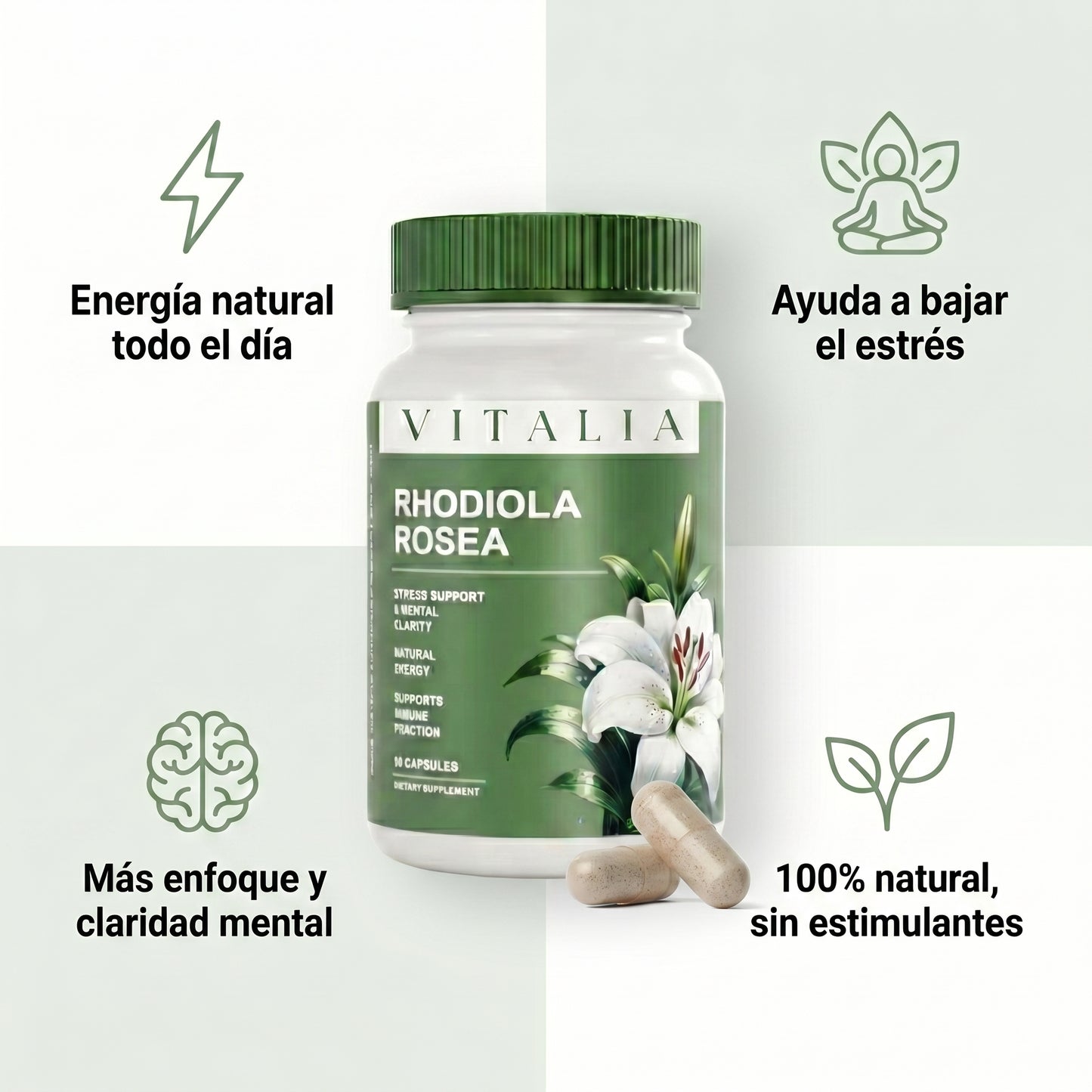 Vitalia™ Rhodiola