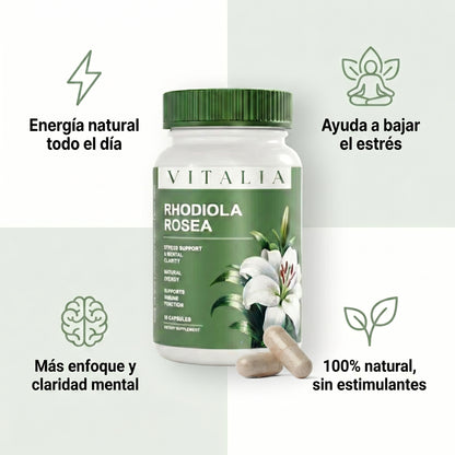 Vitalia™ Rhodiola