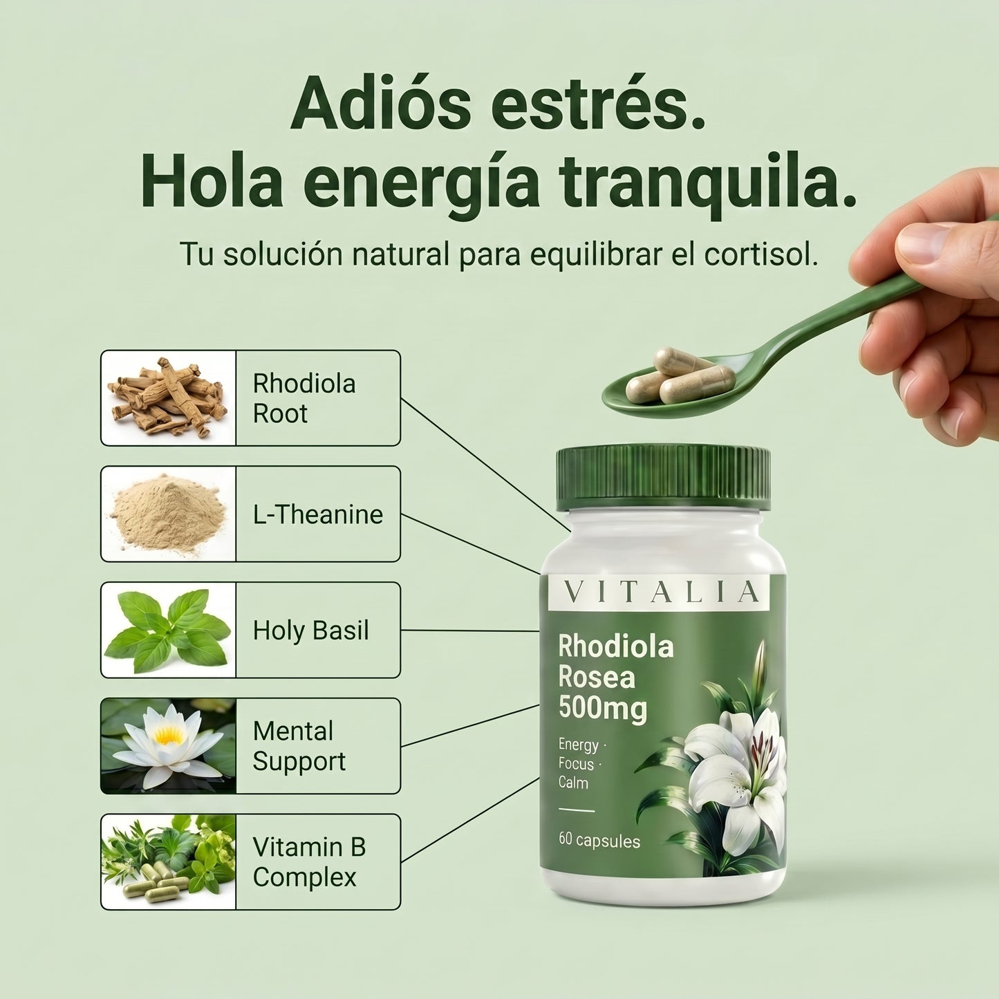 Vitalia™ Rhodiola